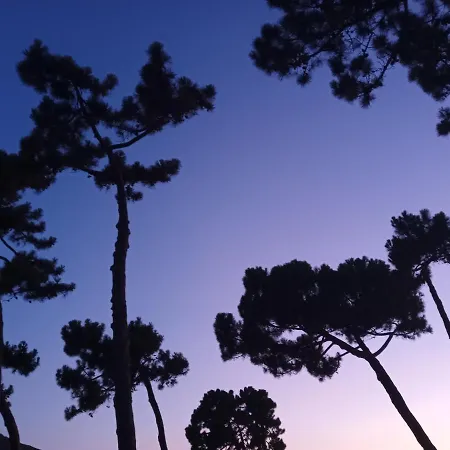 アパート A Luna Rossa コティ・シアヴァーリ