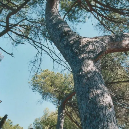 A Luna Rossa * Coti-Chiavari (Corsica)