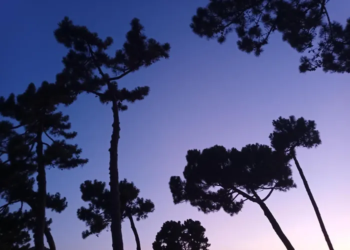 Appartement A Luna Rossa Coti-Chiavari (Corsica)