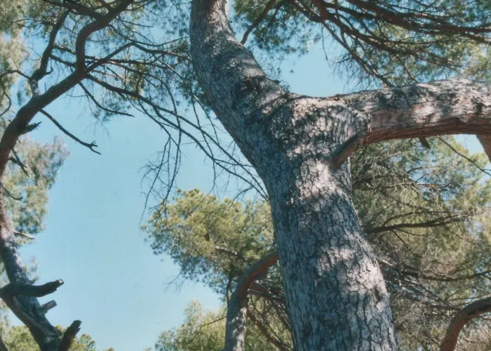A Luna Rossa * Coti-Chiavari (Corsica)